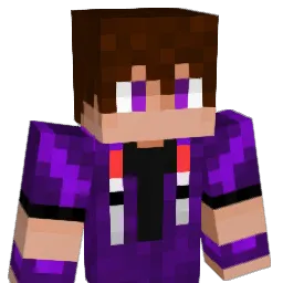 heyleco_ Minecraft avatar bust