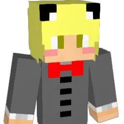 hgoodi11 Minecraft avatar bust