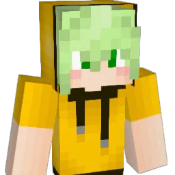 hh4925 Minecraft avatar bust