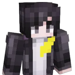 hhdzo Minecraft avatar bust