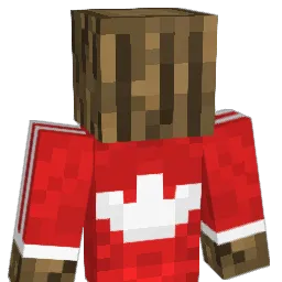 hhkjb Minecraft avatar bust