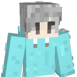 hhl556 Minecraft avatar bust