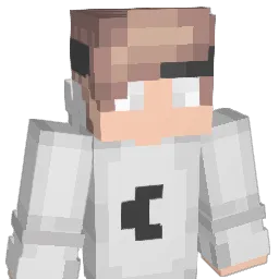 hi201581 Minecraft avatar bust