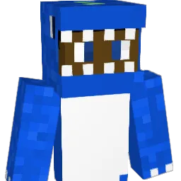 hi5amir69 Minecraft avatar bust