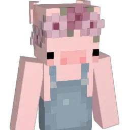 hi_im_joofy Minecraft avatar bust