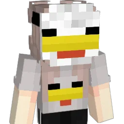 hi_imvibin