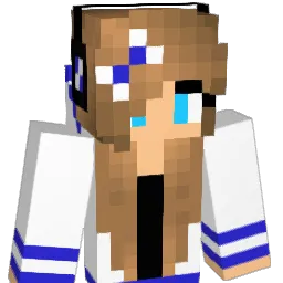 hi_stand_4 Minecraft avatar bust