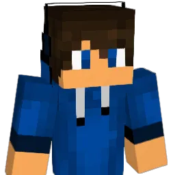 hiapp11 Minecraft avatar bust