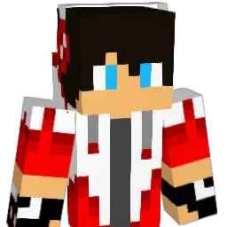 hickhack12 Minecraft avatar bust
