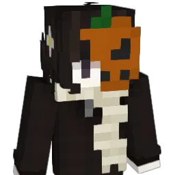 hiddenBeginner Minecraft avatar bust