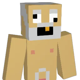 hillsy5853 Minecraft avatar bust
