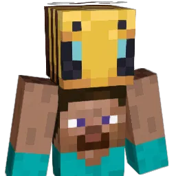 himajin4771 Minecraft avatar bust