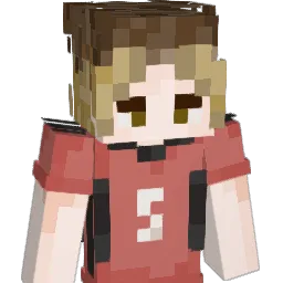 hinatashoyo10 Minecraft avatar bust