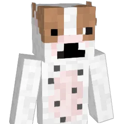 hinky14 Minecraft avatar bust