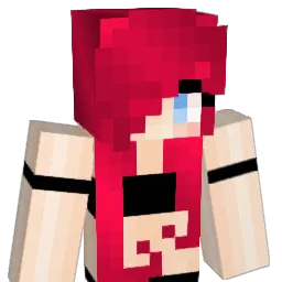 hire34 Minecraft avatar bust
