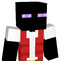 hirosann Minecraft avatar bust