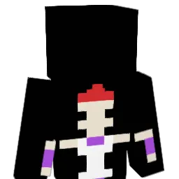 hisokaass Minecraft avatar bust