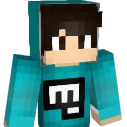 hissaogamer Minecraft avatar bust