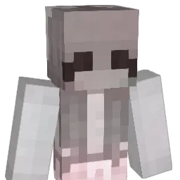 hit1nax Minecraft avatar bust