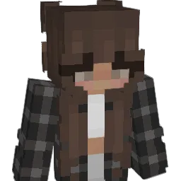 hitblocking Minecraft avatar bust