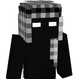 hix313 Minecraft avatar bust