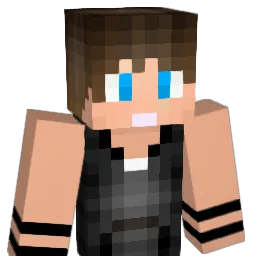 hj04190113 Minecraft avatar bust