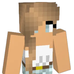 hjert8 Minecraft avatar bust