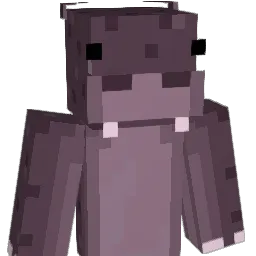 hjohnston18 Minecraft avatar bust