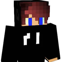 hmc9 Minecraft avatar bust