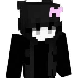 hmh Minecraft avatar bust