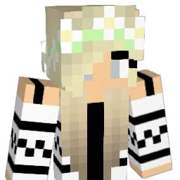 hmjd75 Minecraft avatar bust