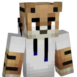 hmodsx511 Minecraft avatar bust