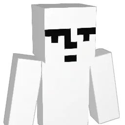 hns_ Minecraft avatar bust