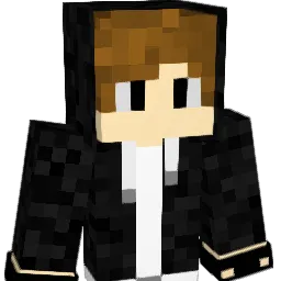 ho123412 Minecraft avatar bust