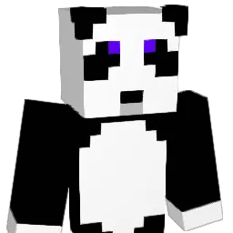 ho42 Minecraft avatar bust