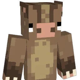 ho____'s Minecraft skin