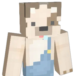 ho_rok Minecraft avatar bust