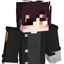 hoance Minecraft avatar bust