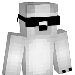 hocha4146 Minecraft avatar bust