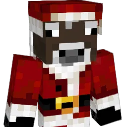 hockeyplayer204 Minecraft avatar bust