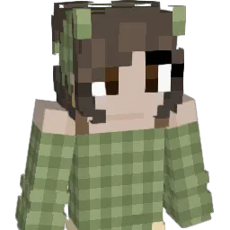 hoddynoddy88 Minecraft avatar bust