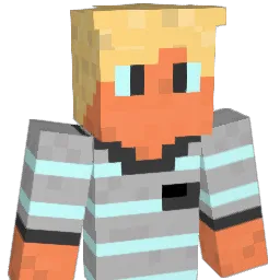 hoerning1 Minecraft avatar bust