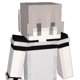 hogeunn Minecraft avatar bust