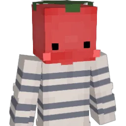 hoi_hoi_ Minecraft avatar bust