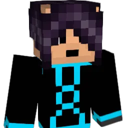 hollister2004 Minecraft avatar bust