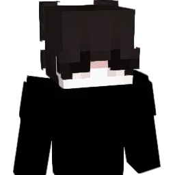 holyitsme Minecraft avatar bust