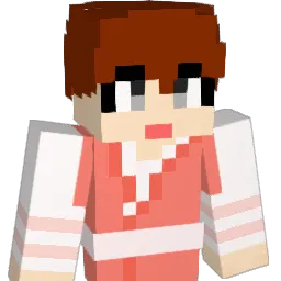 hom237 Minecraft avatar bust