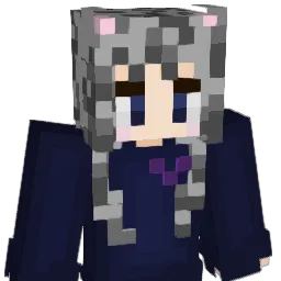 homs1000 Minecraft avatar bust