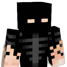 honeystarman Minecraft avatar bust