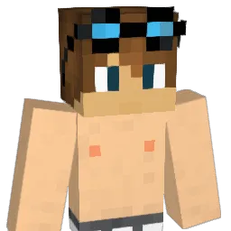hongsam2 Minecraft avatar bust